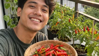 Menjadi Pengguna Facebook 